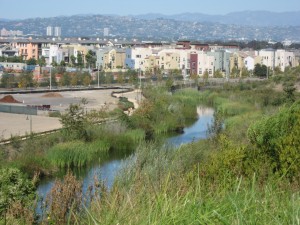 Playa Vista and Wetlands