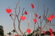 Valentinesdaytree
