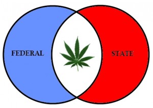 Federalism & Marijuana
