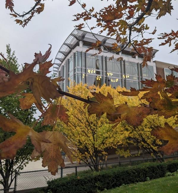 Fall picture of Eckstein Hall